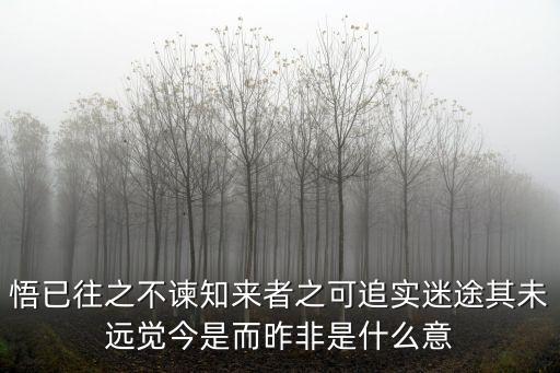 不可多得的意思，從不可多得這個詞語中體會到了什么