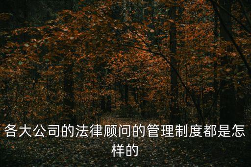 各大公司的法律顧問的管理制度都是怎樣的