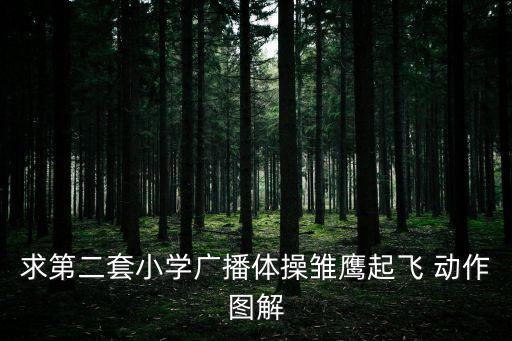 求第二套小學(xué)廣播體操雛鷹起飛 動(dòng)作圖解
