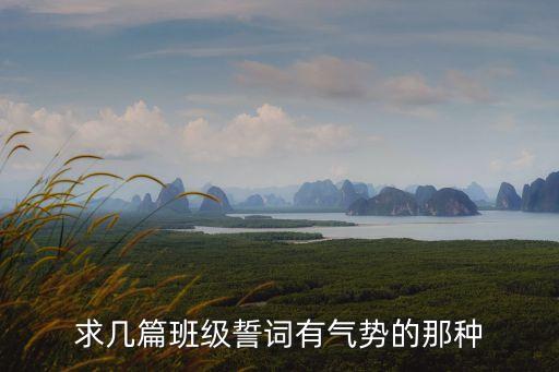 求幾篇班級誓詞有氣勢的那種