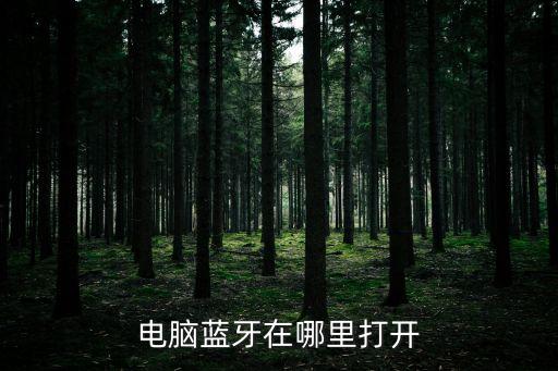 臺式電腦藍牙，臺式電腦藍牙在哪里打開