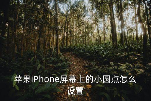 蘋果iPhone屏幕上的小圓點怎么設置