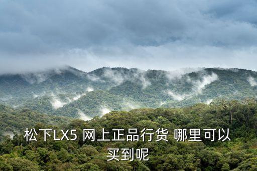 蘇寧易購 松下 天津市西青區，松下SVSD870N 的MP3的充電器哪里有賣還是電腦連接線