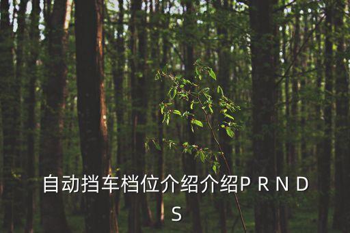 自動(dòng)擋車檔位介紹介紹P R N D S