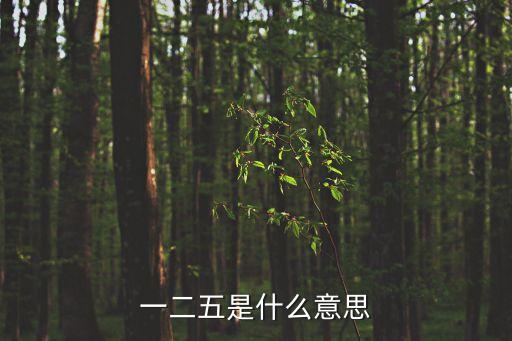 一二五，一二五是什么意思