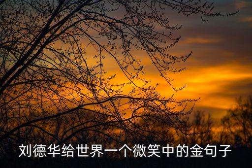 劉德華給世界一個微笑中的金句子