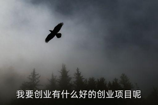 我要創業有什么好的創業項目呢