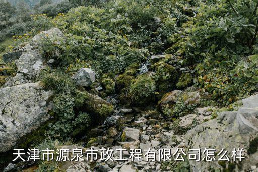 天津市源泉市政工程有限公司怎么樣