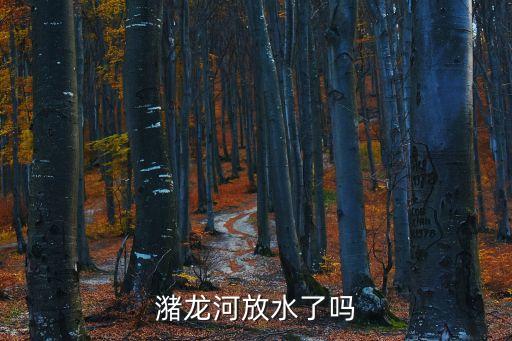 潴龍河放水了嗎