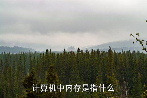 計(jì)算機(jī)內(nèi)存，電腦內(nèi)存多大合適