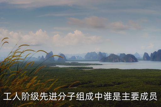 先進(jìn)分子，入黨先進(jìn)分子受名現(xiàn)置嗎