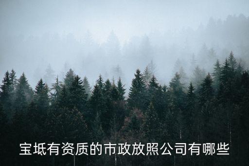 寶坻有資質的市政放照公司有哪些