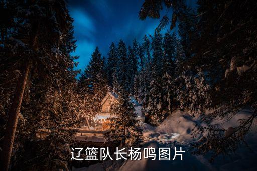 遼籃隊長楊鳴圖片