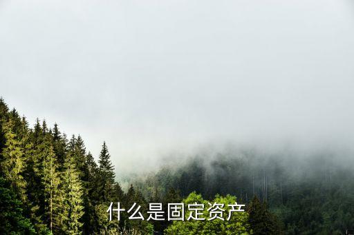什么是固定資產(chǎn)