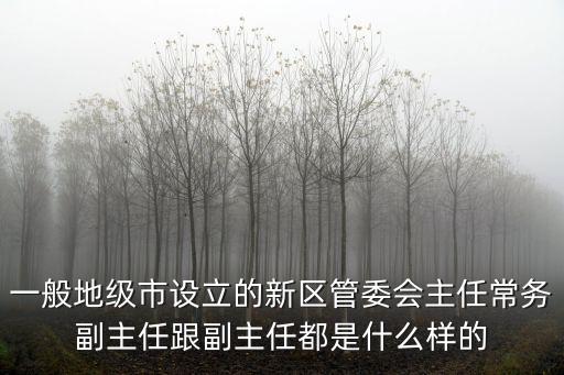 一般地級市設立的新區管委會主任常務副主任跟副主任都是什么樣的