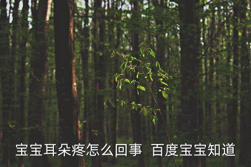 寶寶耳朵疼怎么回事  百度寶寶知道