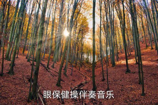 眼保健操伴奏音樂