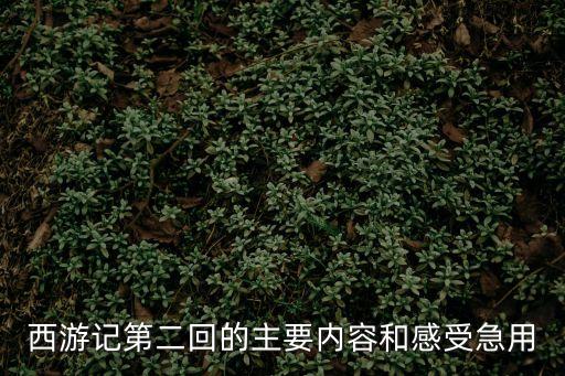 西游記第二回的主要內(nèi)容和感受急用