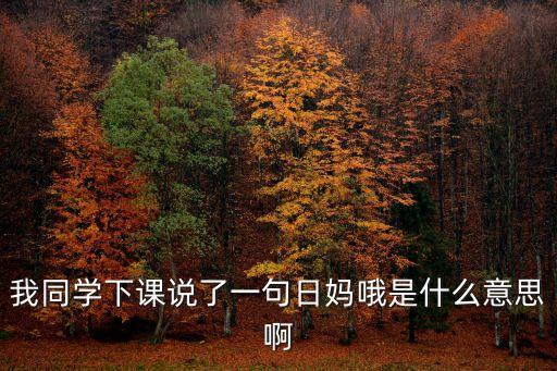 我同學下課說了一句日媽哦是什么意思啊