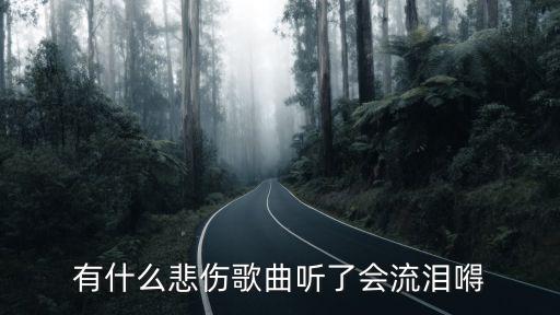 有什么悲傷歌曲聽了會流淚嘚