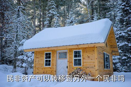 民非資產可以轉移到另外一個民非嗎