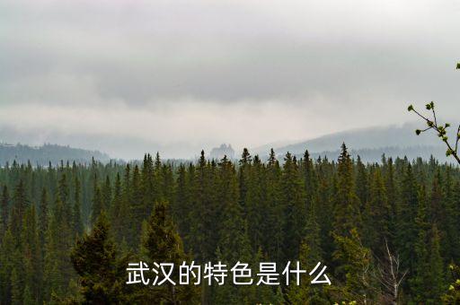武漢的特色是什么