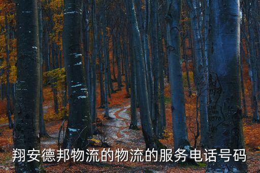 天津市翔安物流有限公司，翔安德邦物流的物流的服務電話號碼