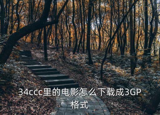 34ccc里的電影怎么下載成3GP格式