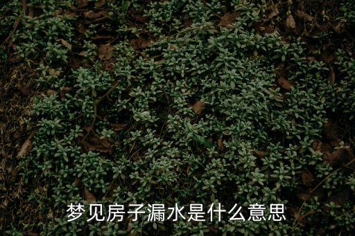 夢見房子漏水，夢見房子漏水意味什么
