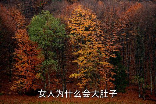 大肚子女人，女人擁有大肚子有什么危害嗎
