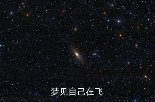 夢見自己在飛