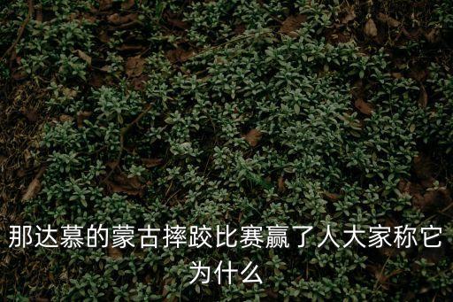 那達慕的蒙古摔跤比賽贏了人大家稱它為什么