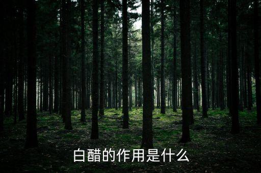 白醋的作用是什么