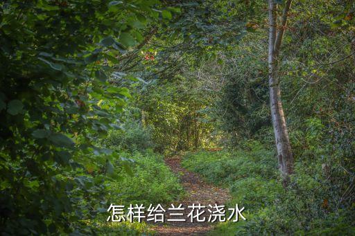 怎樣給蘭花澆水