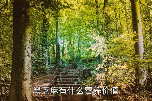 黑芝麻有什么營(yíng)養(yǎng)價(jià)值