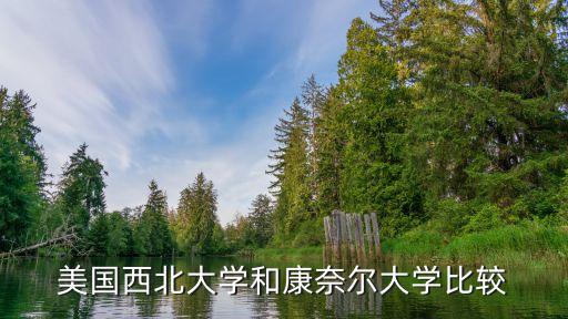 美國(guó)西北大學(xué)和康奈爾大學(xué)比較