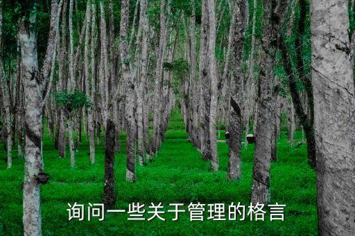 管理名言，詢問一些關于管理的格言