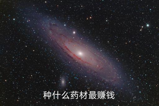 種什么藥材最賺錢