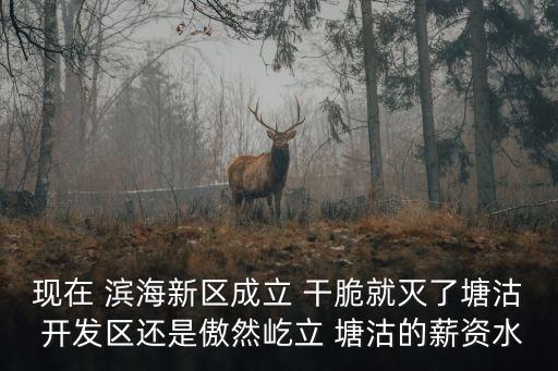 現在 濱海新區成立 干脆就滅了塘沽 開發區還是傲然屹立 塘沽的薪資水