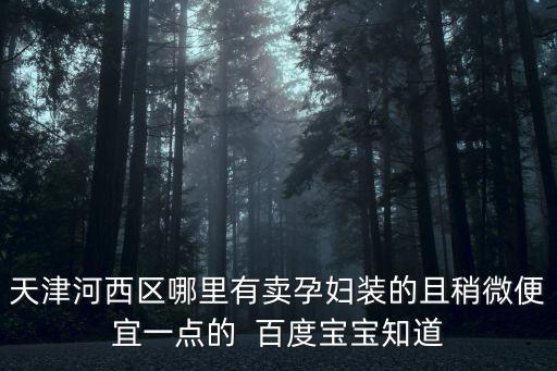 天津河西區哪里有賣孕婦裝的且稍微便宜一點的  百度寶寶知道