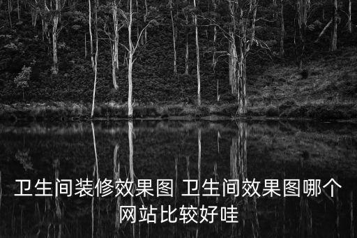 衛生間裝修效果圖 衛生間效果圖哪個網站比較好哇