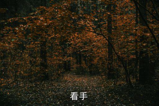 看手