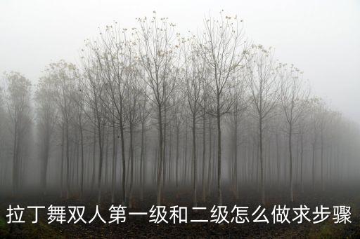 雙人拉丁舞，拉丁舞金牌雙人組合名稱