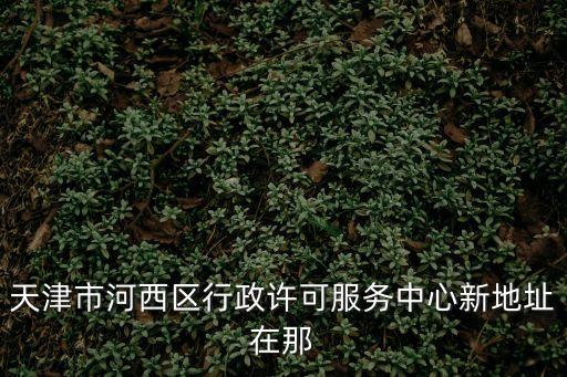 天津市河西區行政許可服務中心新地址在那