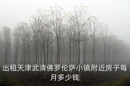 天津市武清個人房屋出租信息，出租天津武清佛羅倫薩小鎮附近房子每月多少錢