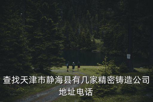 天津市東瑞鋼鐵鑄造股份有限公司，查找天津市靜海縣有幾家精密鑄造公司地址電話