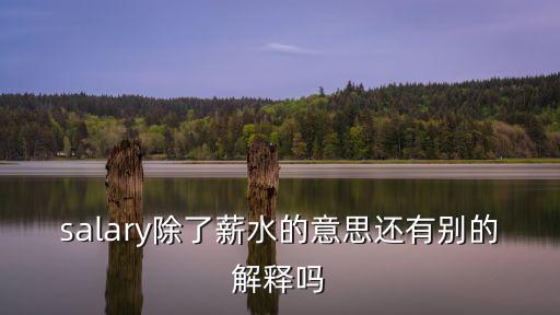 salary除了薪水的意思還有別的解釋嗎