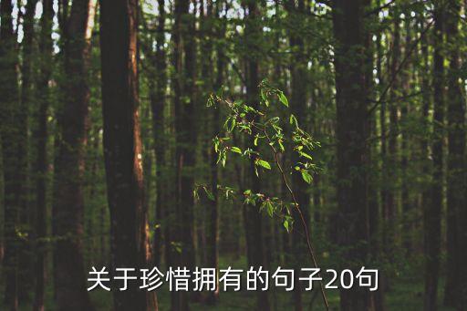 關于珍惜擁有的句子20句