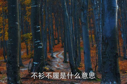 不衫不履是什么意思