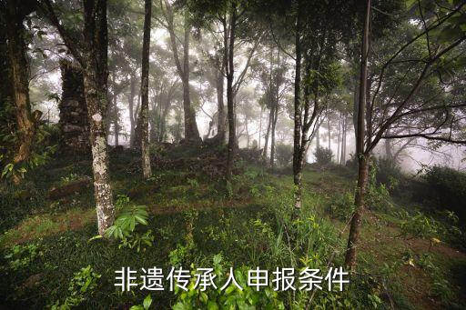 非遺傳承人申報條件